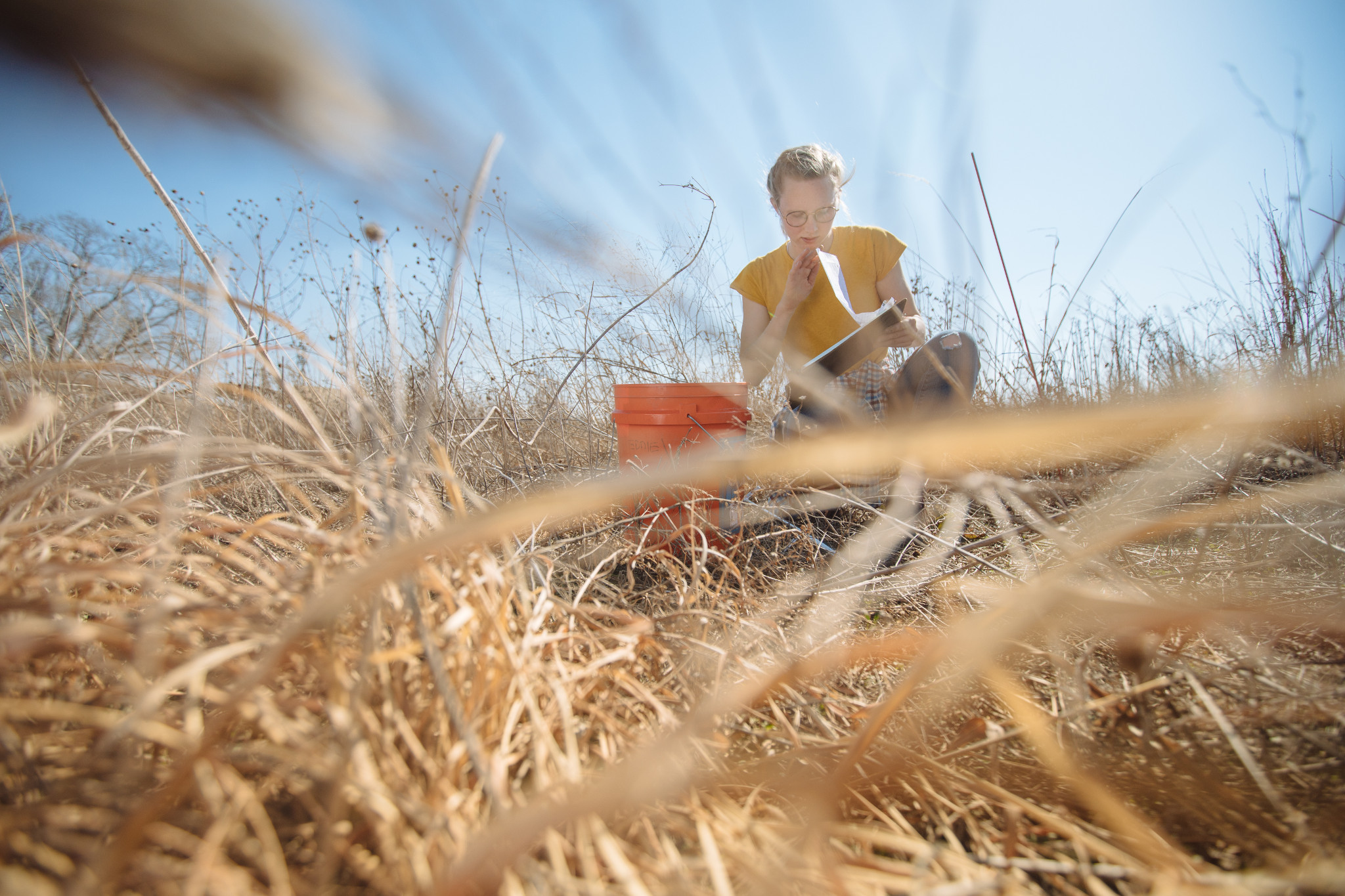 a student in a yellow shirt is blurred by blades of brown grass