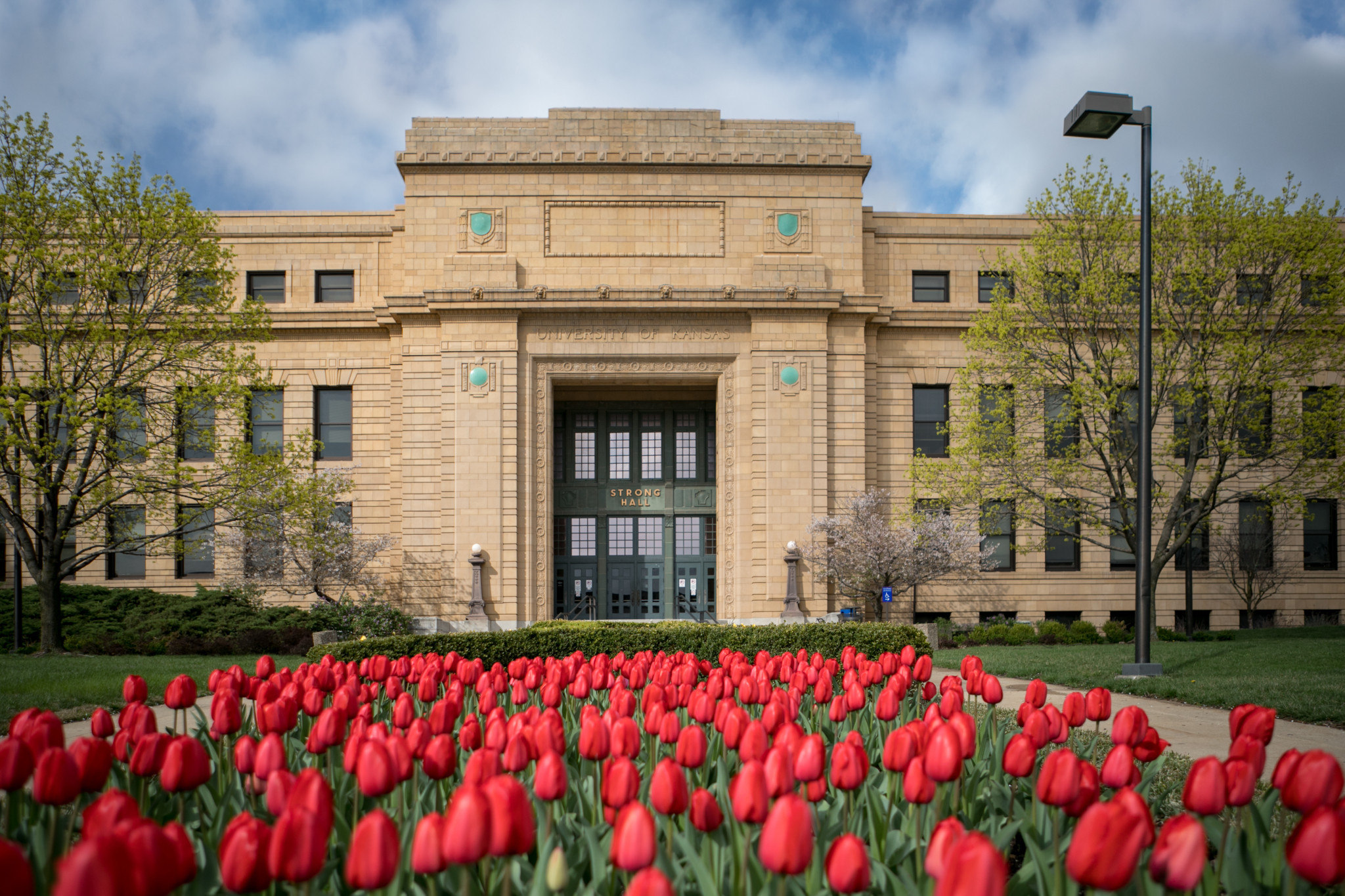 red tulips in front of strong hall