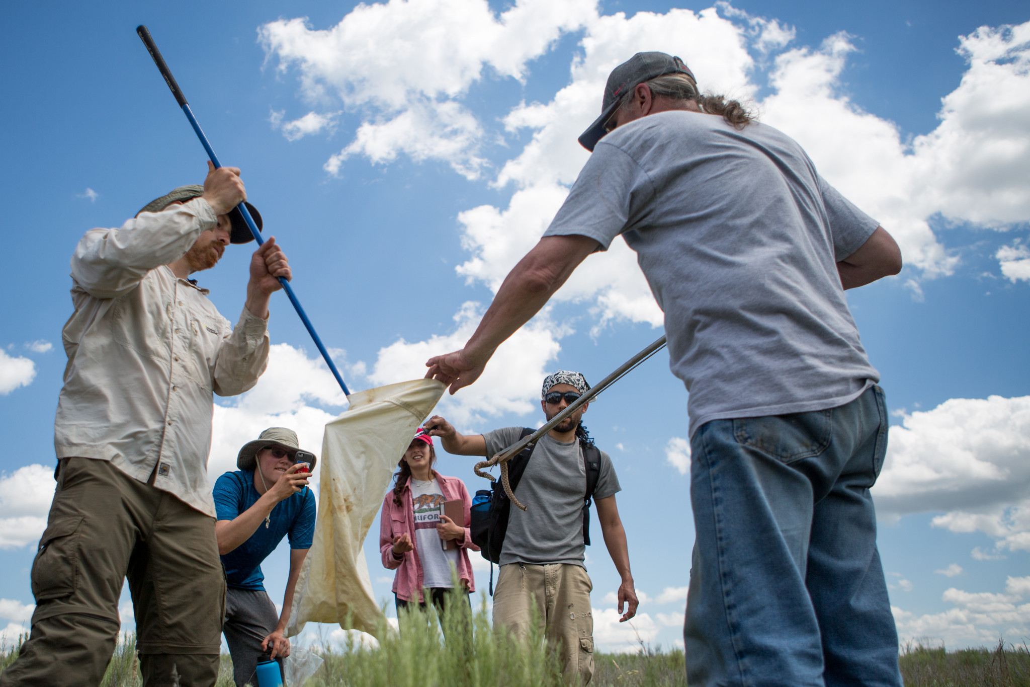 five people place a specimen in a bag in a field