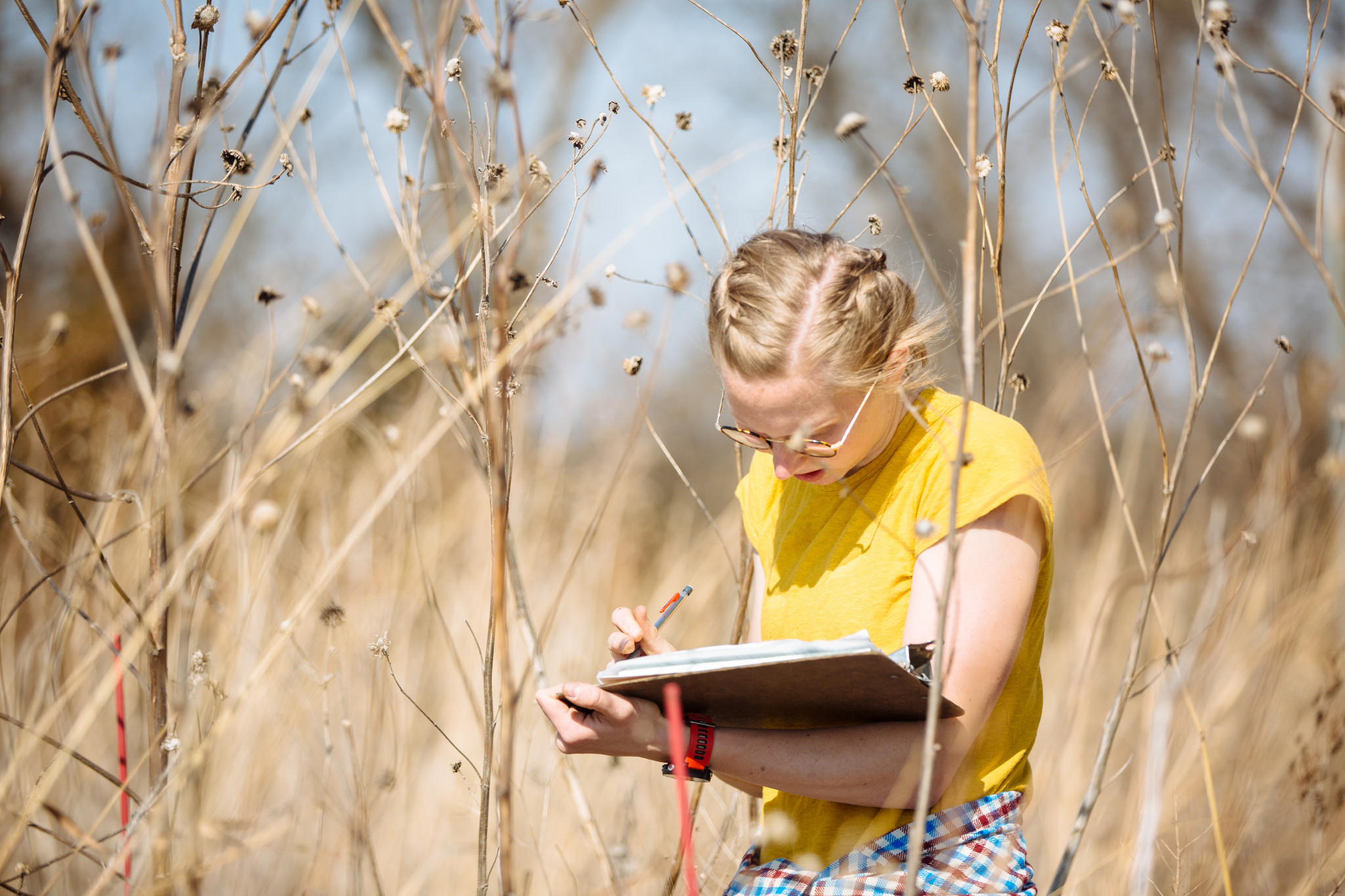 female student in yellow shirt makes field notes in field with tall grass