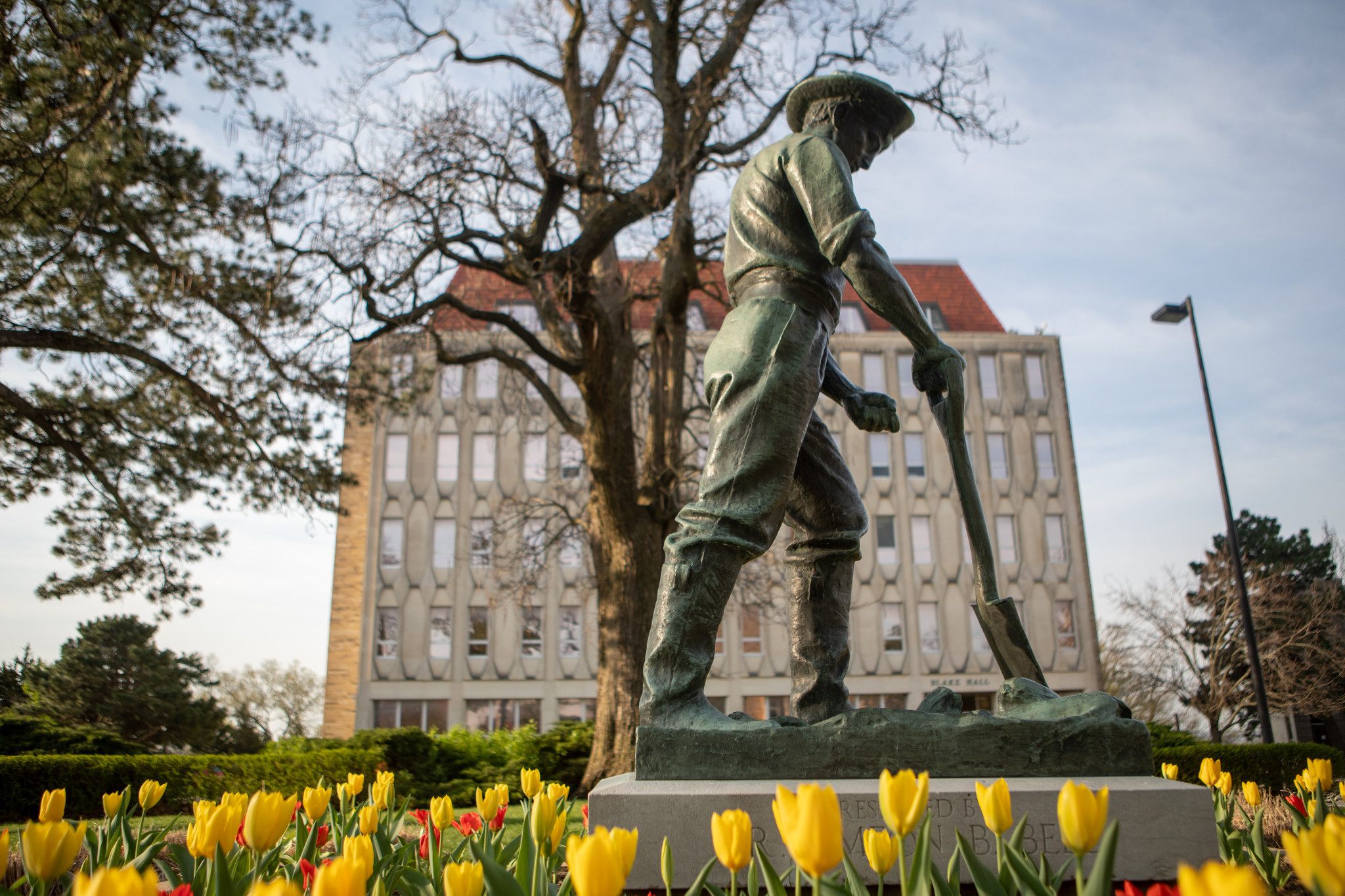 statue of man with shovel surrounded by yellow tulips with blake hall in the background